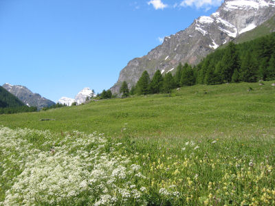 Aosta