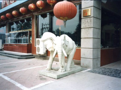 Cina