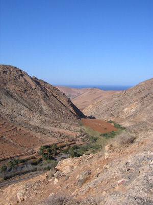 Fuerteventura'