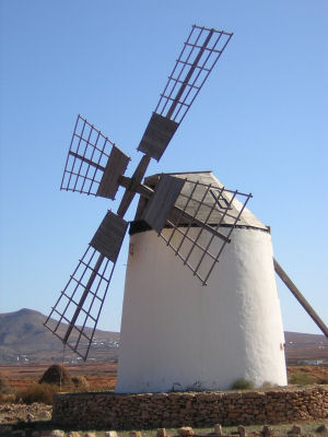 Fuerteventura'