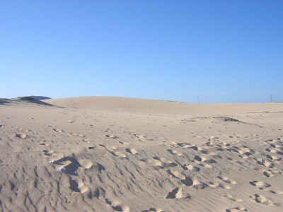 Fuerteventura'