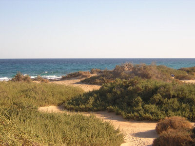 Fuerteventura'